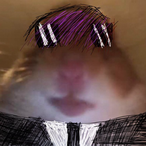 Nvckz's Avatar'