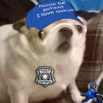 Xx._Mona_.xX's Avatar