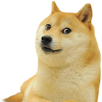 GooDoge.-'s Avatar'
