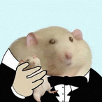 THEORDULU5252's Avatar'