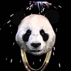 CSBD-5star's Avatar'