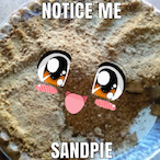 SandPie.-'s Avatar'