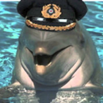 LilDolphin9's Avatar'