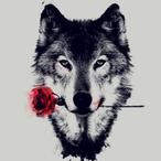 ShinyWolf21's Avatar'