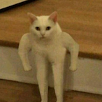 FaceDNation's Avatar'