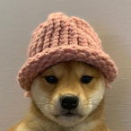 ChoofedDog.'s Avatar'