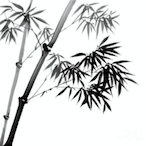 FH-Dynasty's Avatar'