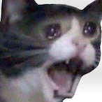 JonMcJonny's Avatar'