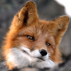 CouchPotato25's Avatar