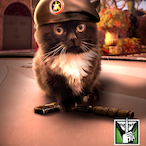 Quantum_Fox's Avatar'