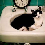 btg6kim4dok0ja1's Avatar'