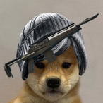 elite_valk's Avatar'