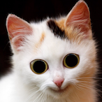 Antofijix21's Avatar'