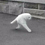 iloveXimqi's Avatar'