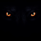 NacyI's Avatar'