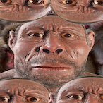 HomoErolus's Avatar'