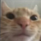 Dalkin_'s Avatar'