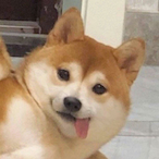 JPoFFON's Avatar'