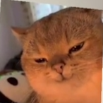 strangerwalkrss's Avatar'