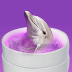 IIAJTll's Avatar'