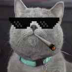 M_LaFiN's Avatar'