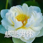 lostiverson's Avatar'