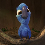 stinkonionsock's Avatar'