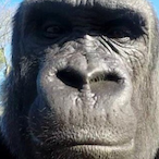 slimegeneral_'s Avatar'