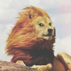 SwungUncU's Avatar'