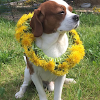 DemolitionMan05's Avatar'