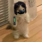 co1zn's Avatar'