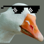 MilchKnirps's Avatar'