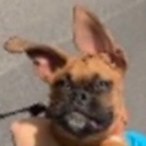 benortheoldguy's Avatar'