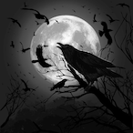 Raven35's Avatar'