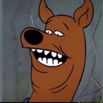 SpicyMustard69's Avatar'