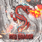 MRgrzybus's Avatar'