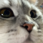 FirstDayGaming's Avatar'