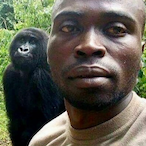 CL Frailable's Avatar'