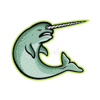 NarvalAnalyst's Avatar'