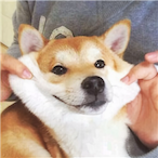 Dokuror's Avatar'