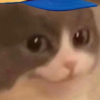 PhxxtxmOnTikTok's Avatar'