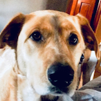 HeyDatsPretyGud's Avatar'