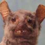 Glornt's Avatar'