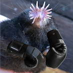 molefight_'s Avatar'
