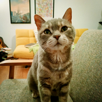 JulienLeMonstre's Avatar