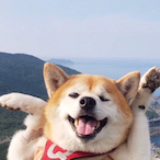 PatchNote32's Avatar'