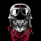 DT-EssE's Avatar'