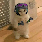 L1nqk_'s Avatar'