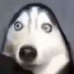 NextUpGrain's Avatar'