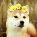 Nezuru.'s Avatar'